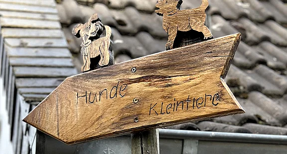 LinkedIn_Tierheim_Uebergabe_1.jpg  