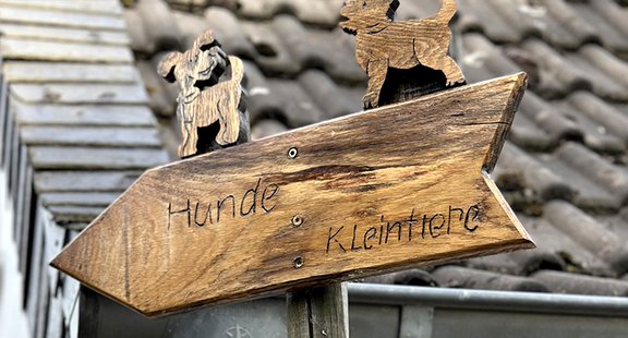 LinkedIn_Tierheim_Uebergabe_1.jpg